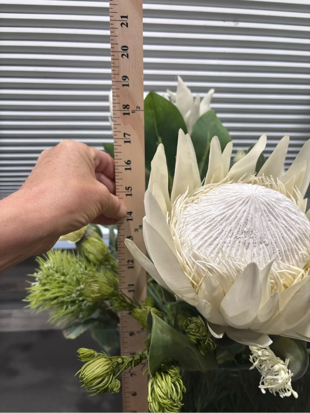 Allstate living Cream Protea Faux Floral Arrangement in Clear Glass Vase